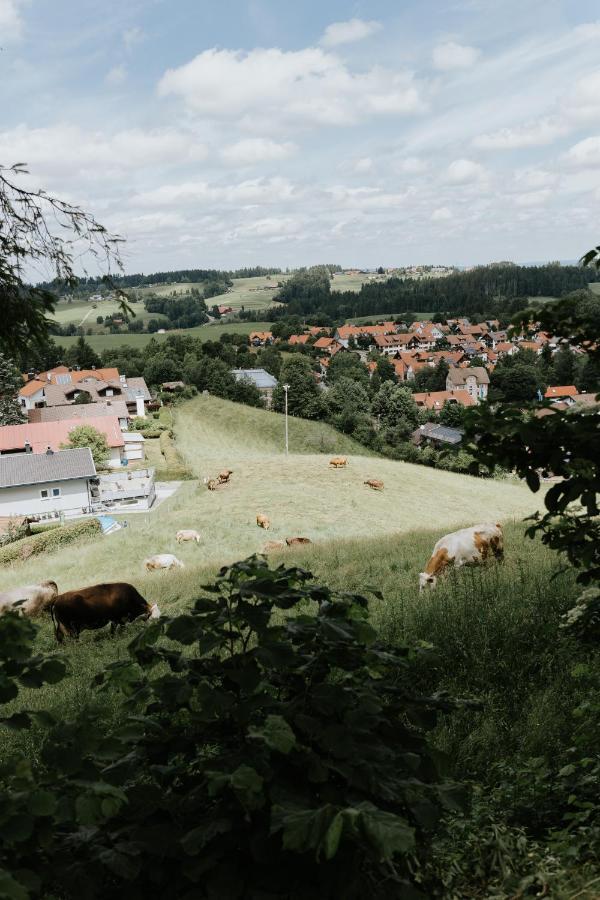 Wangen im Allgäu Ferienwohnung Alpenblick I Kamin I Private Sauna מראה חיצוני תמונה