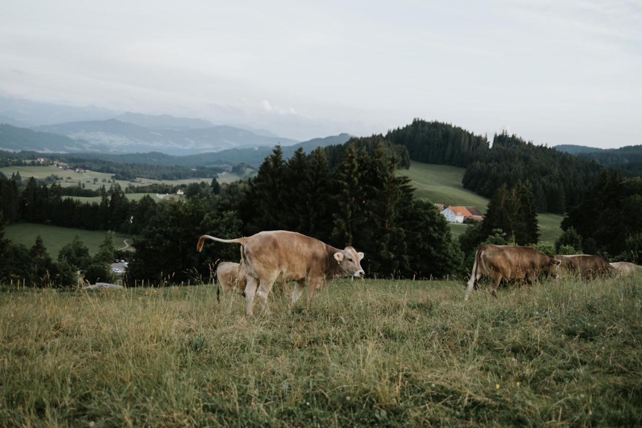 Wangen im Allgäu Ferienwohnung Alpenblick I Kamin I Private Sauna מראה חיצוני תמונה